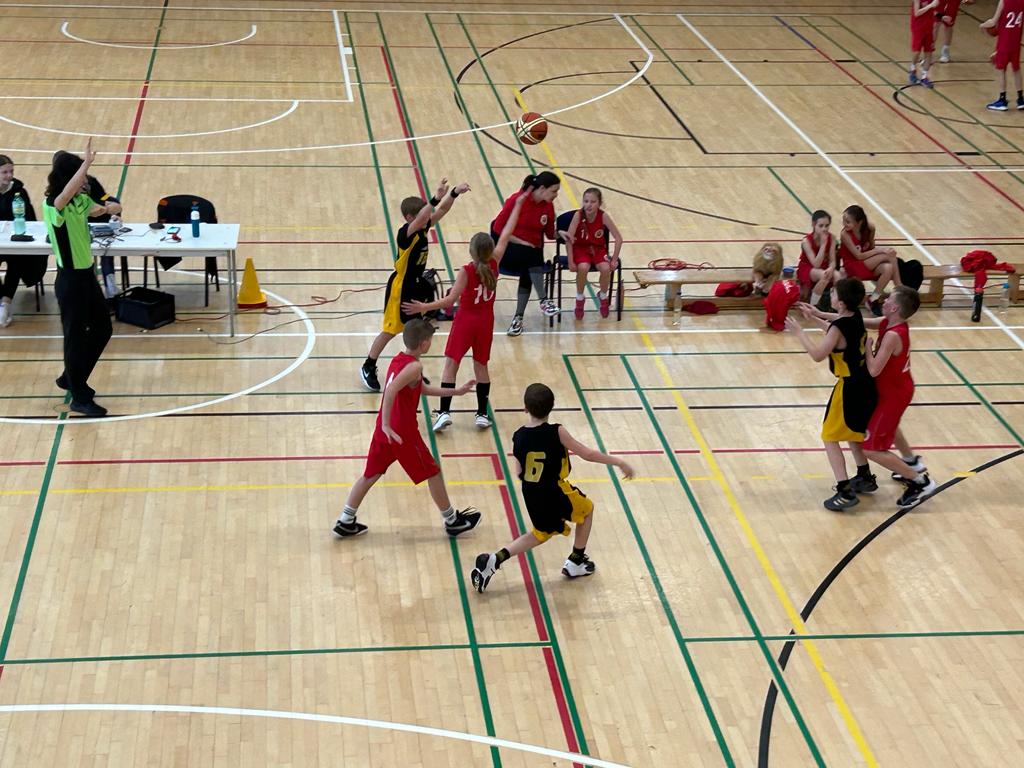 230325 BC Vysočina, Renocar Podolí - BK Spartak