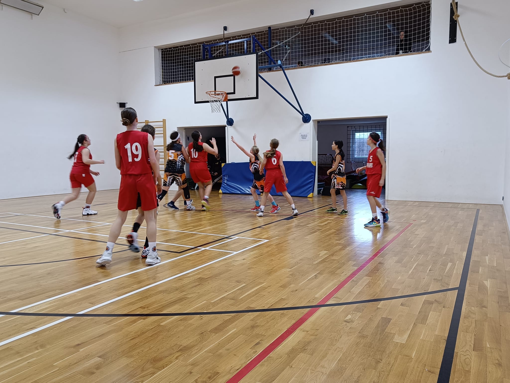 240316 Tygři Brno, Sokol Babice - BK Spartak