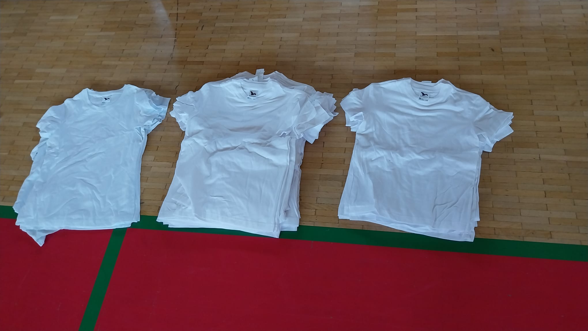 240729 Basketbalový minikemp 2024